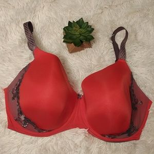 36J 1st and Curve Molded Cup Pink and Gray Bra